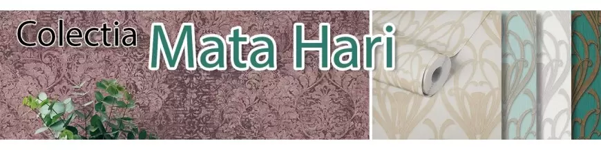 Colectia Mata Hari, As Creation